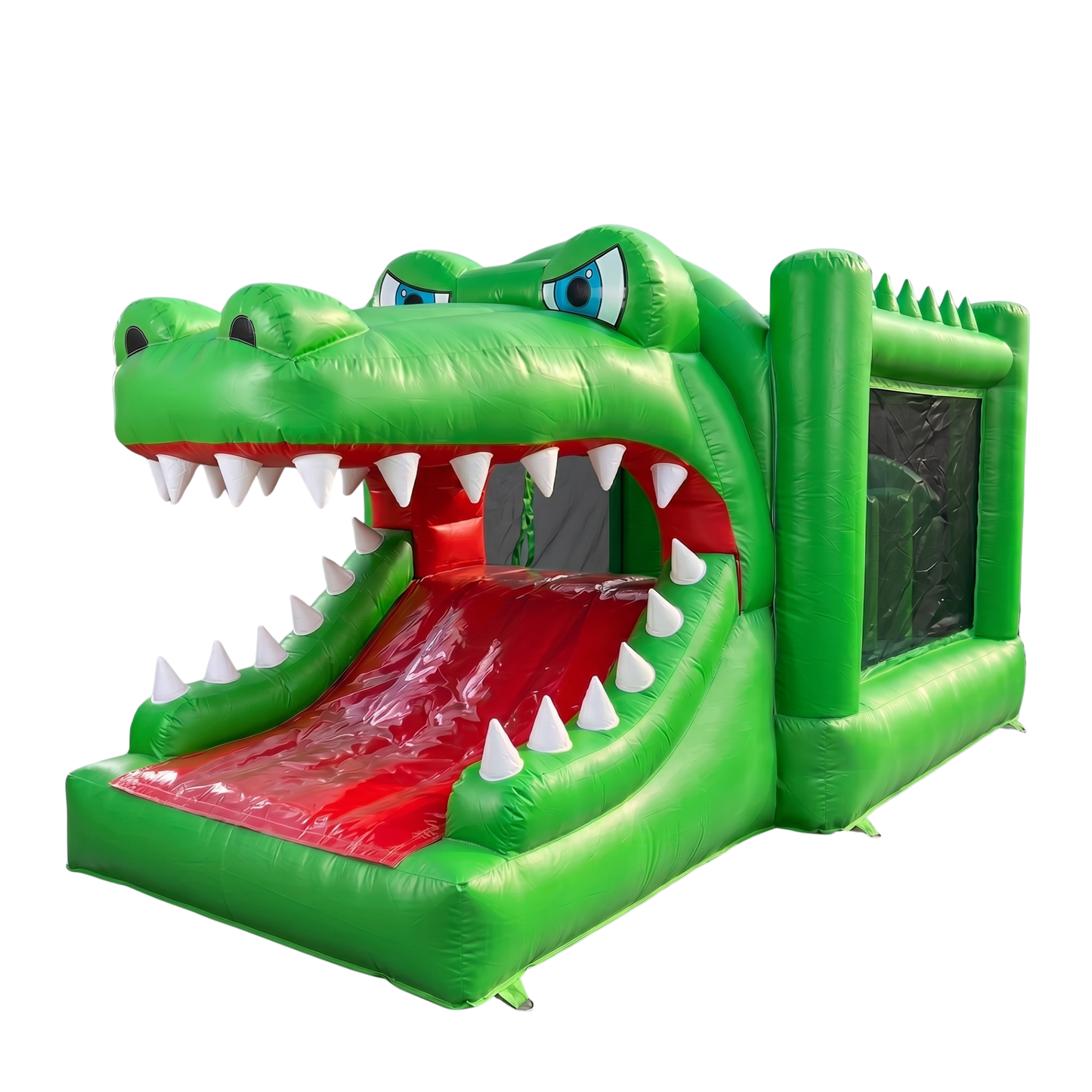 Crocodilo Selvagem