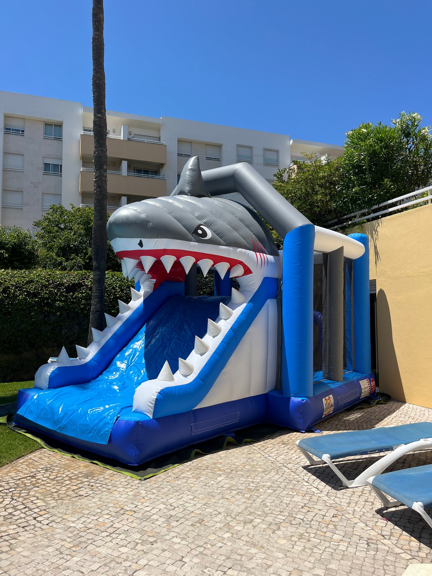 Tubarão Gigante